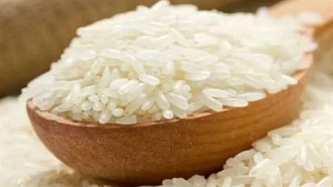 تحديثات الأسعار.. تراجع ملحوظ في تكلفة كيلو الأرز الأبيض الرفيع للمستهلك اليوم